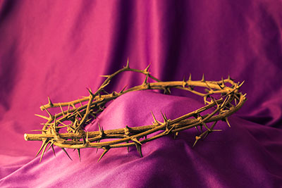 crown-of-thorns_small