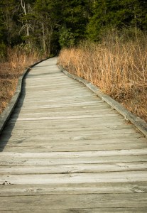 narrow is the way